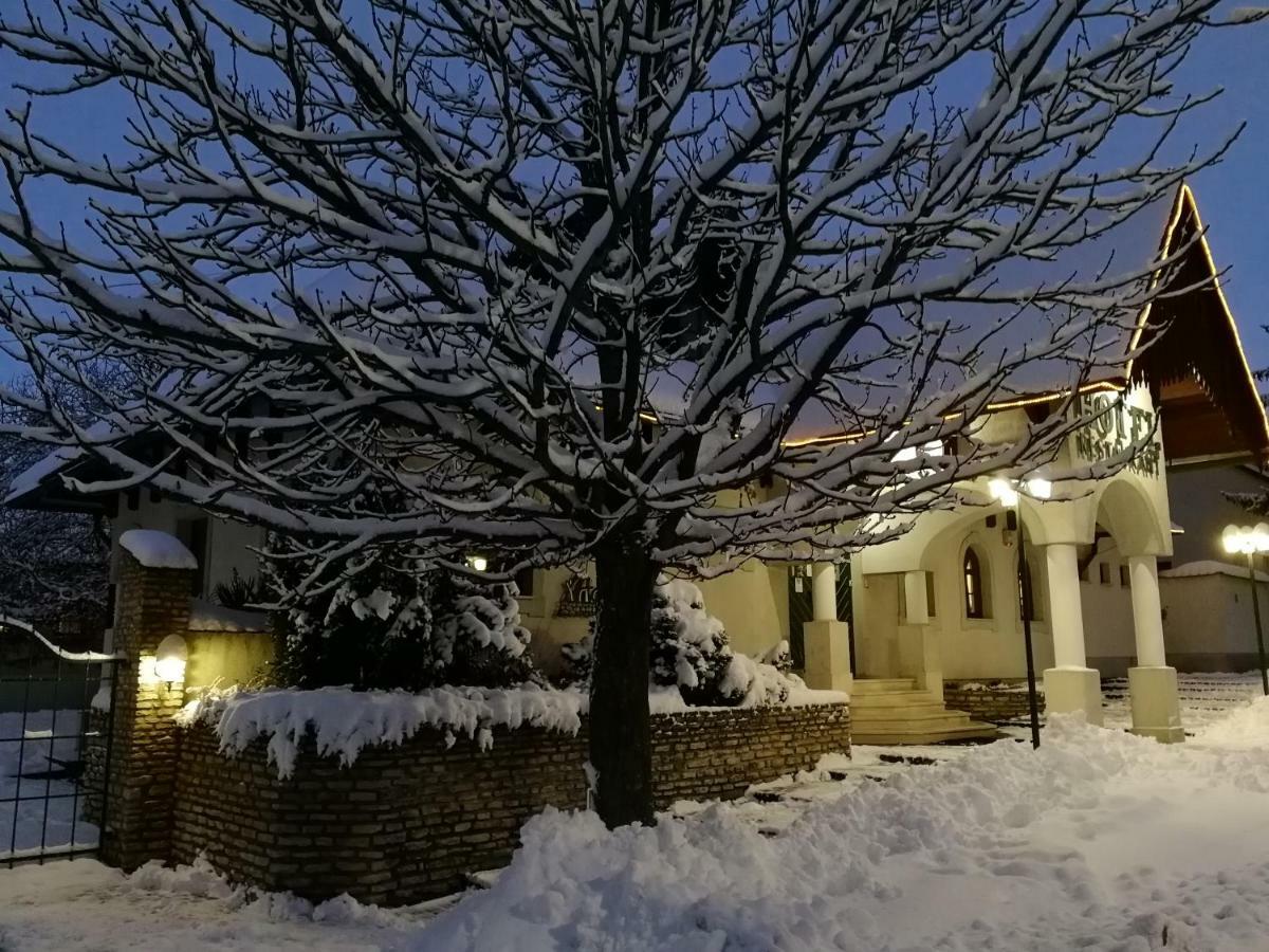 Hasik Hotel Magyarpolany Экстерьер фото